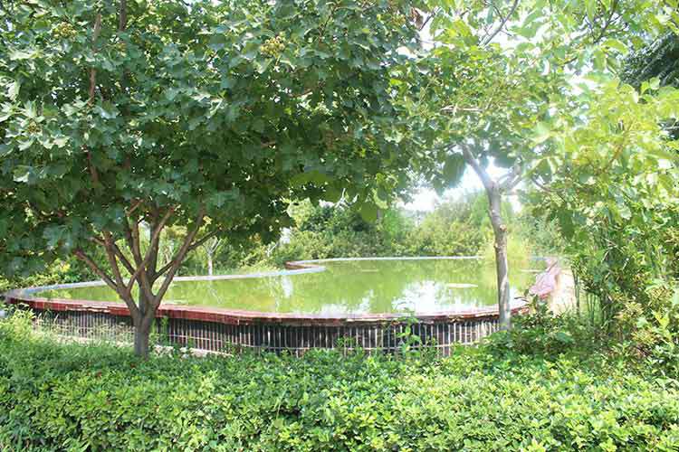 九游·官方站入口-JiuYou j9(中国)机械厂区环境优美.jpg